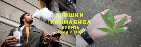 дживик Белокуриха