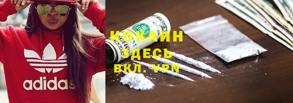 дживик Белокуриха