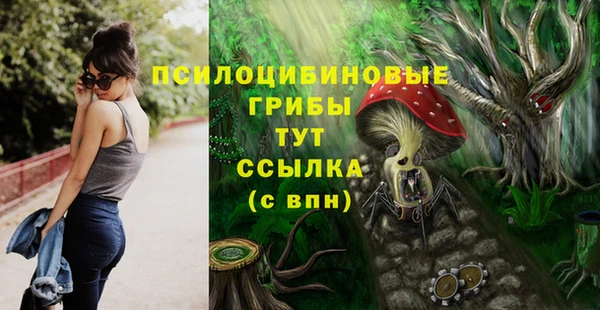 дживик Белокуриха
