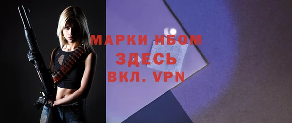дживик Белокуриха
